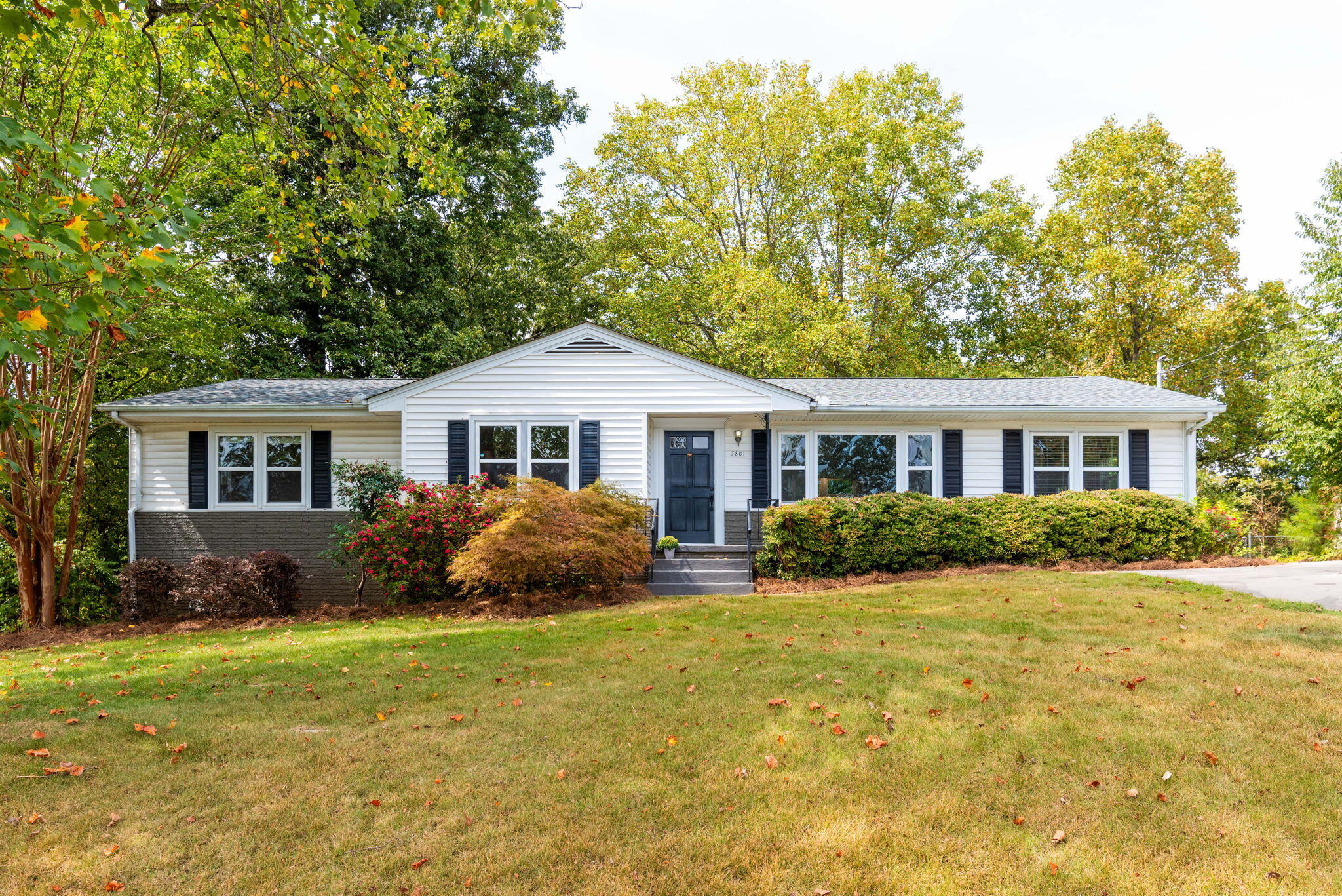 3801 Laird Lane