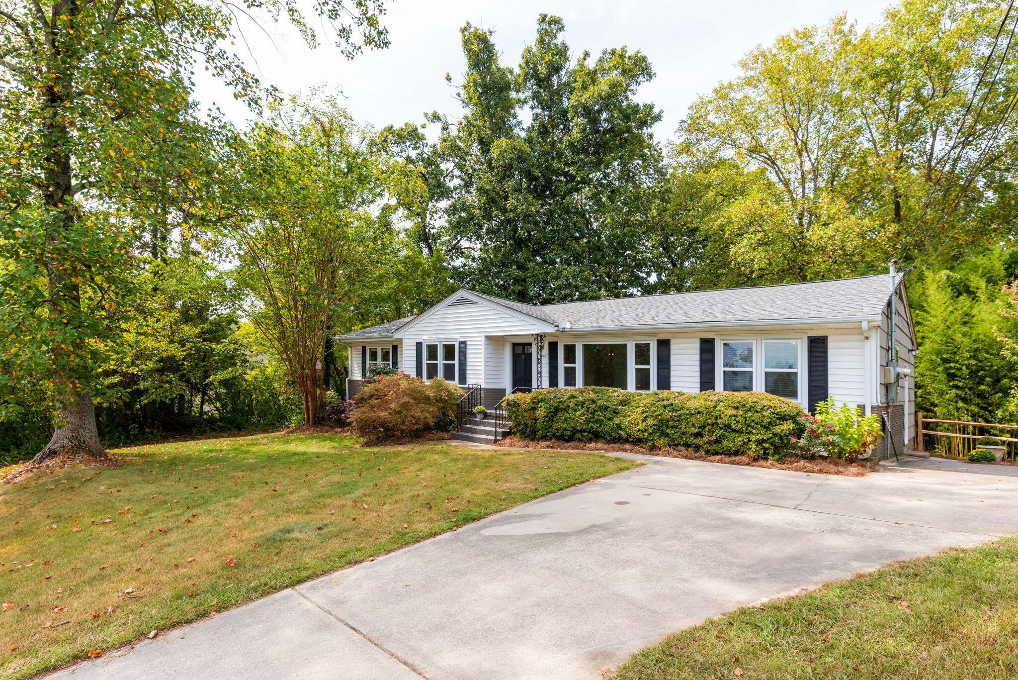 3801 Laird Lane