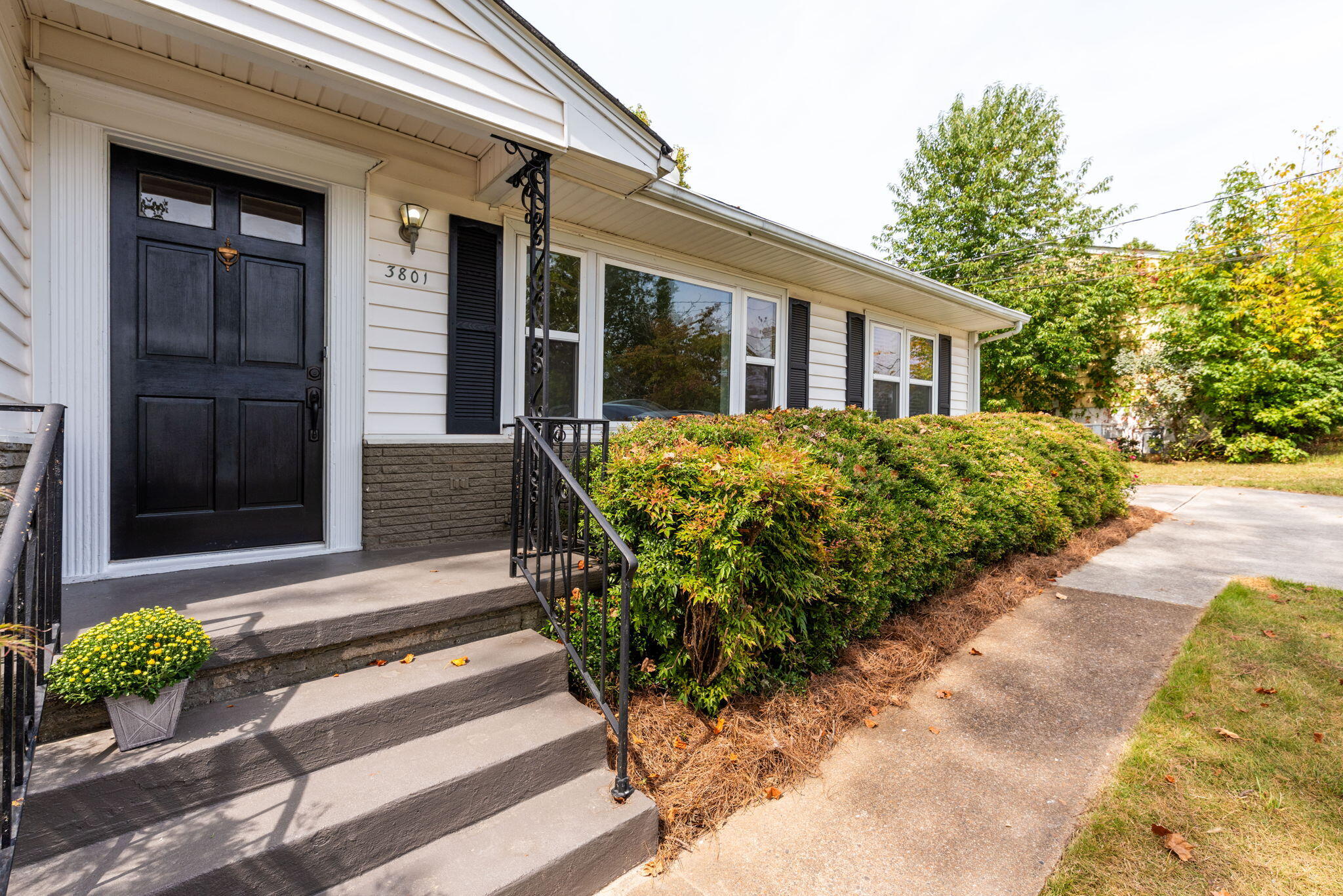3801 Laird Lane