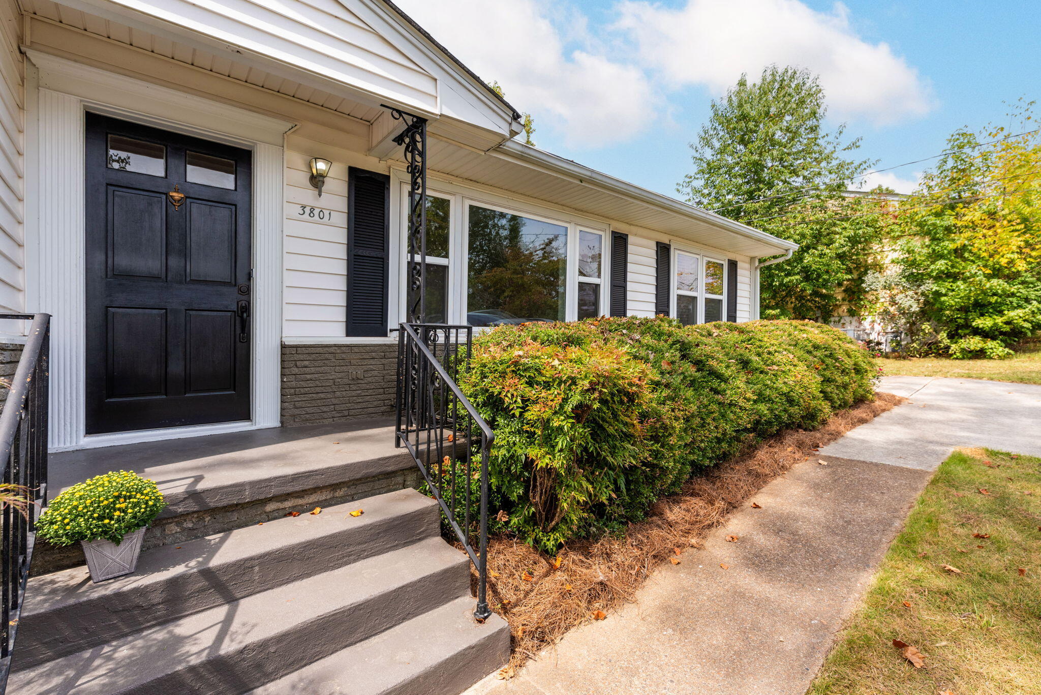 3801 Laird Lane