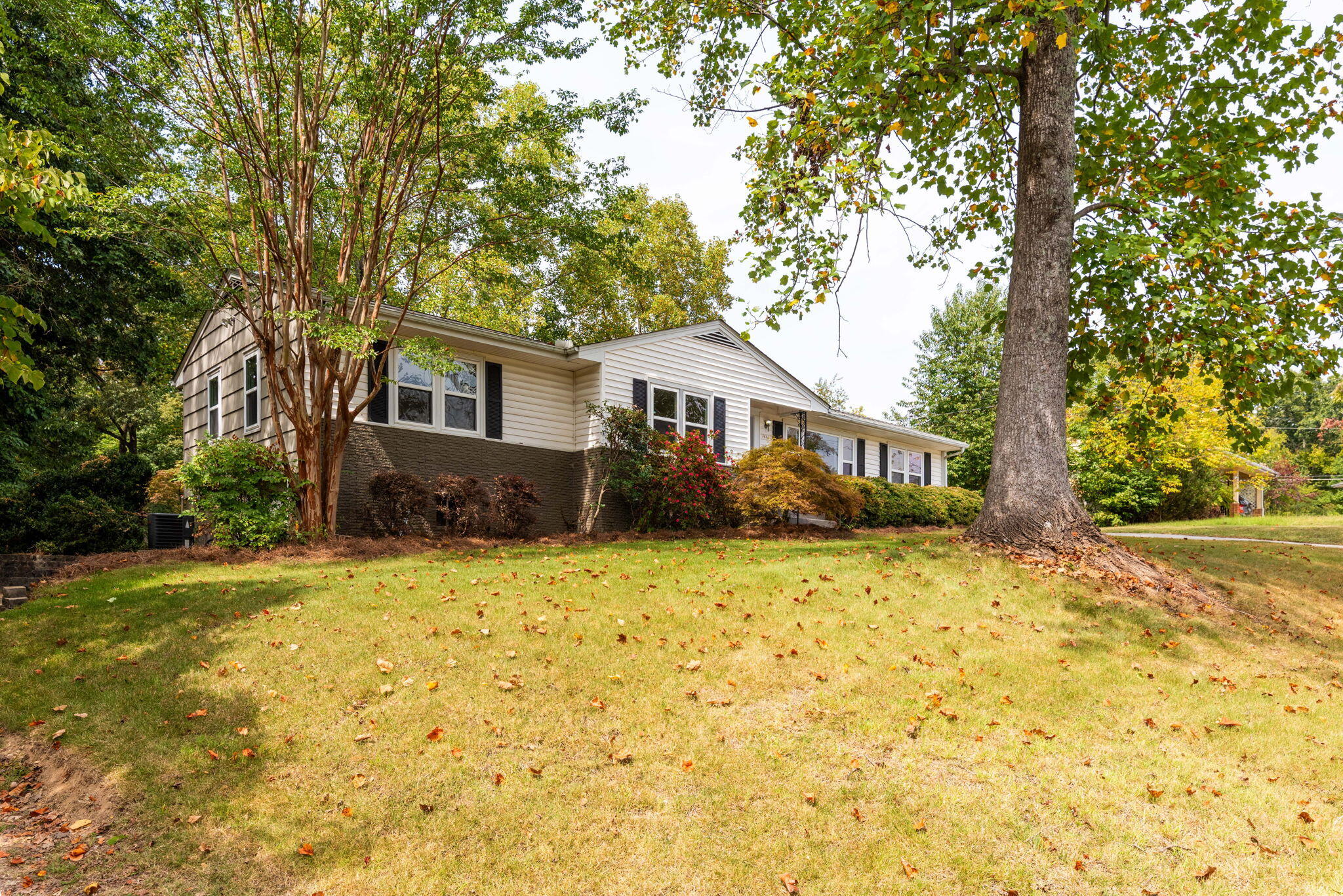 3801 Laird Lane