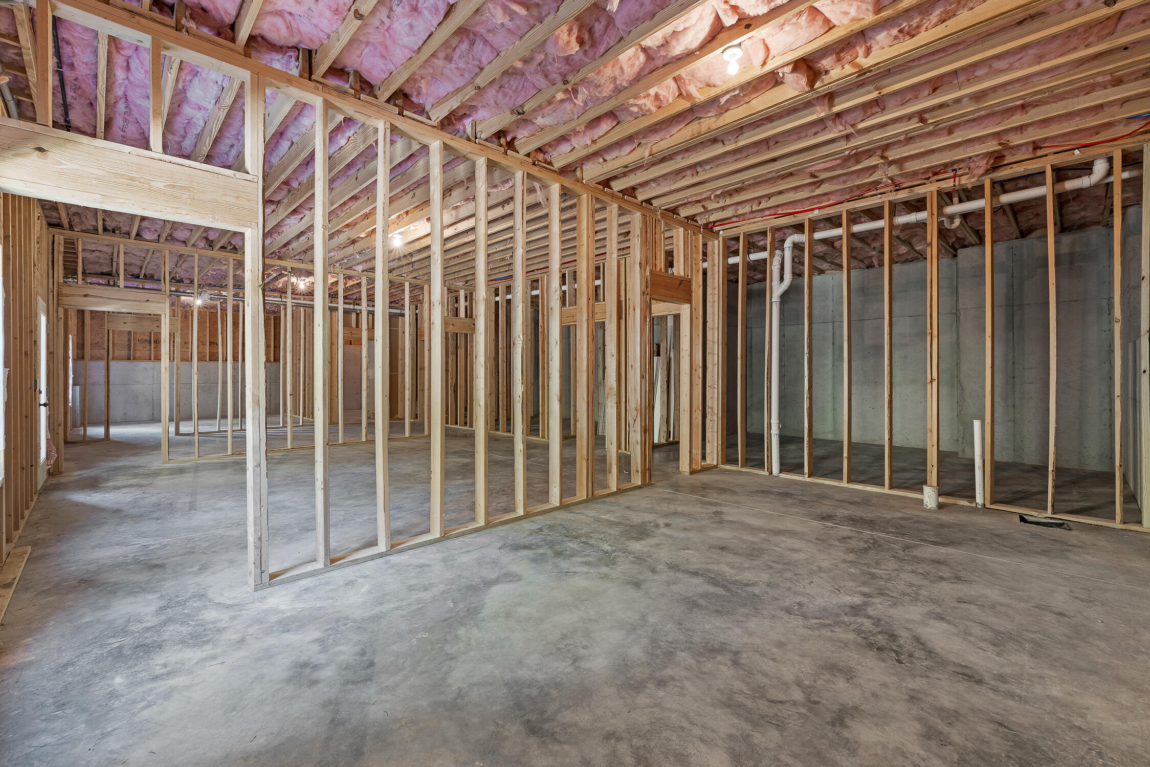 3019 Tandy Lane