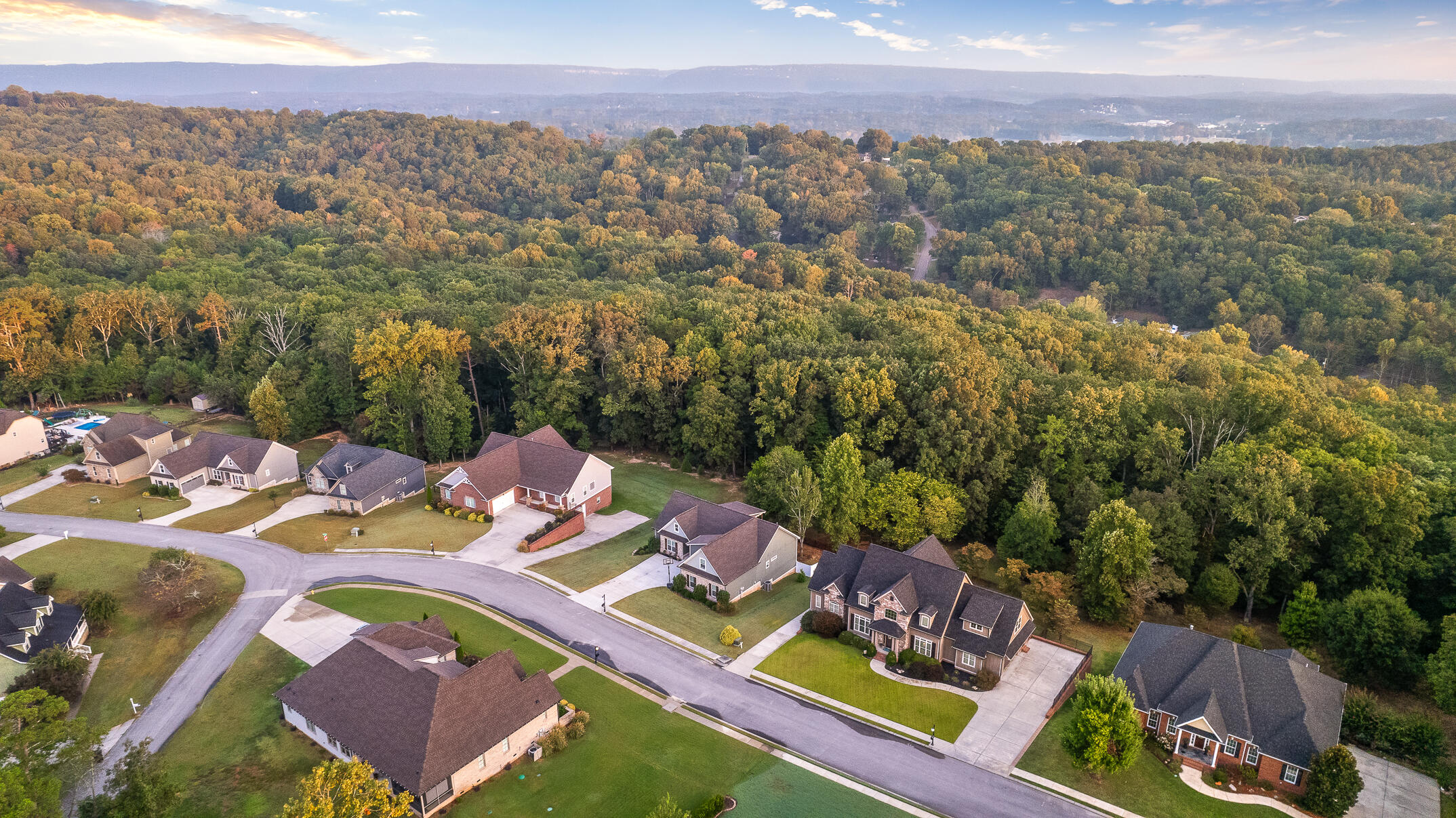 3019 Tandy Lane