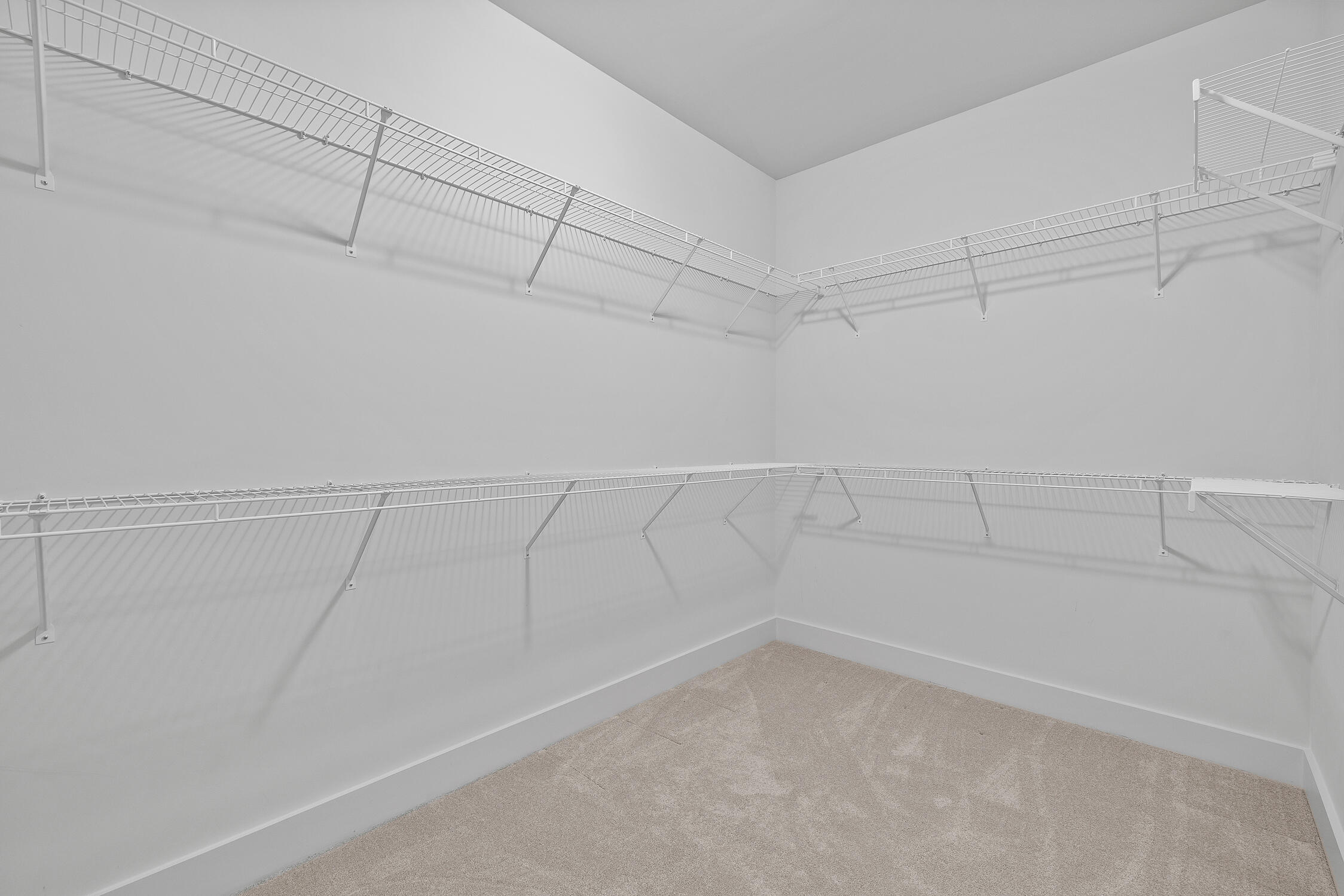 3019 Tandy Lane