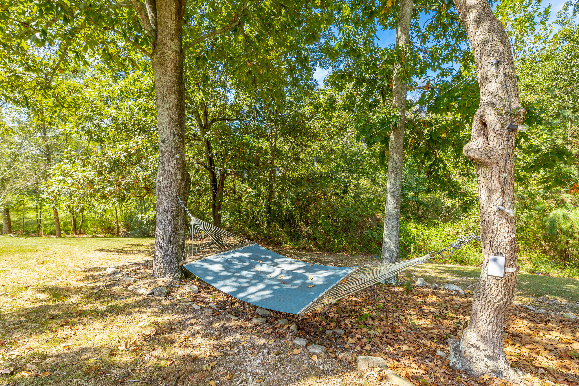 217 Asheville Drive