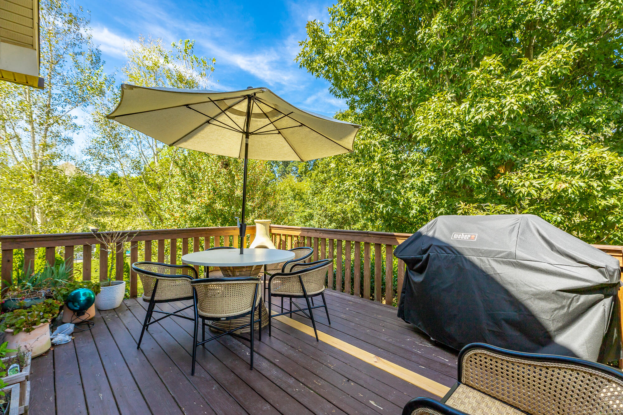 217 Asheville Drive