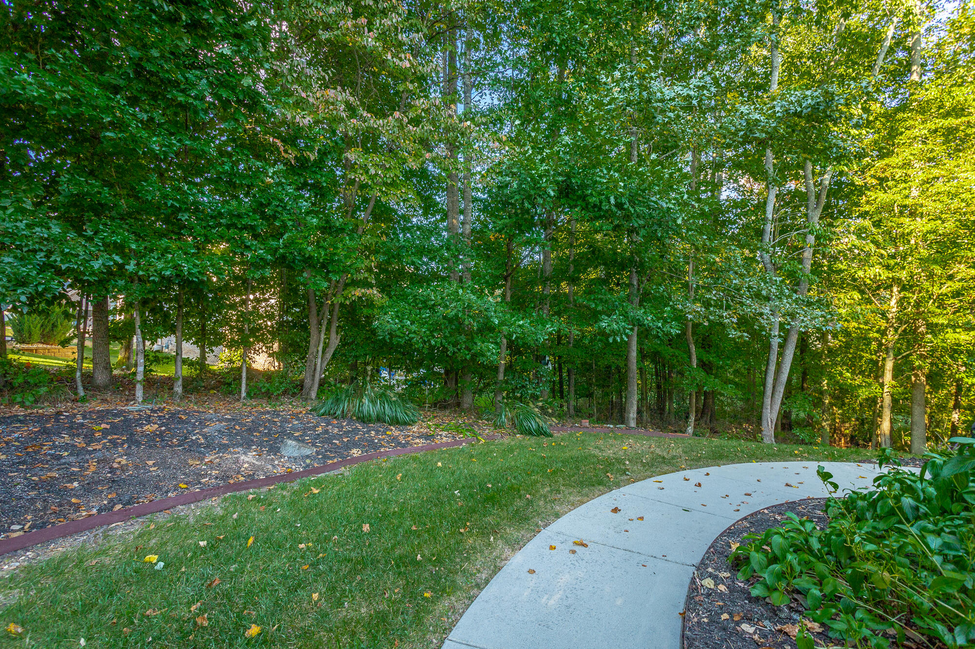 9348 Bronze Branch Lane