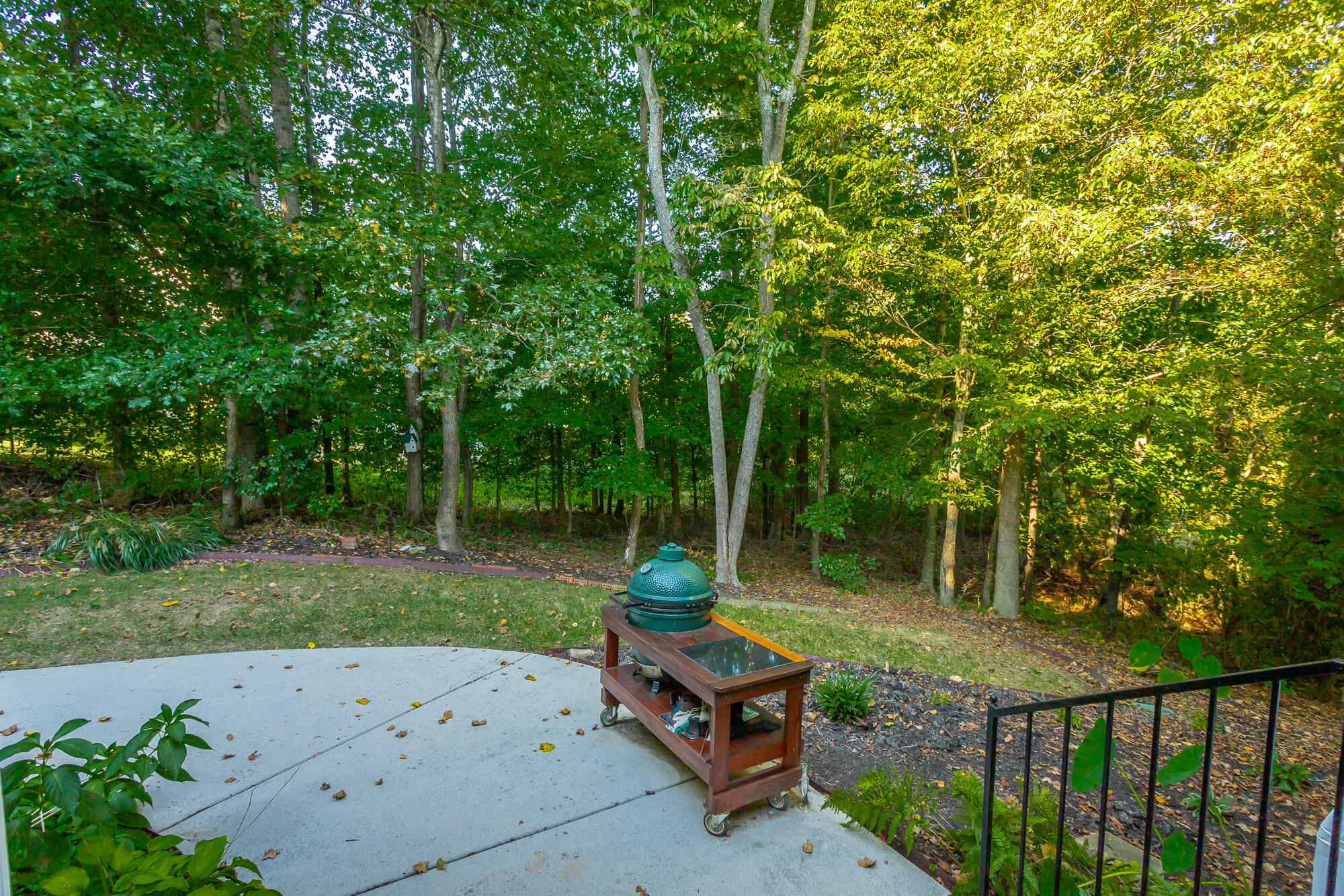 9348 Bronze Branch Lane