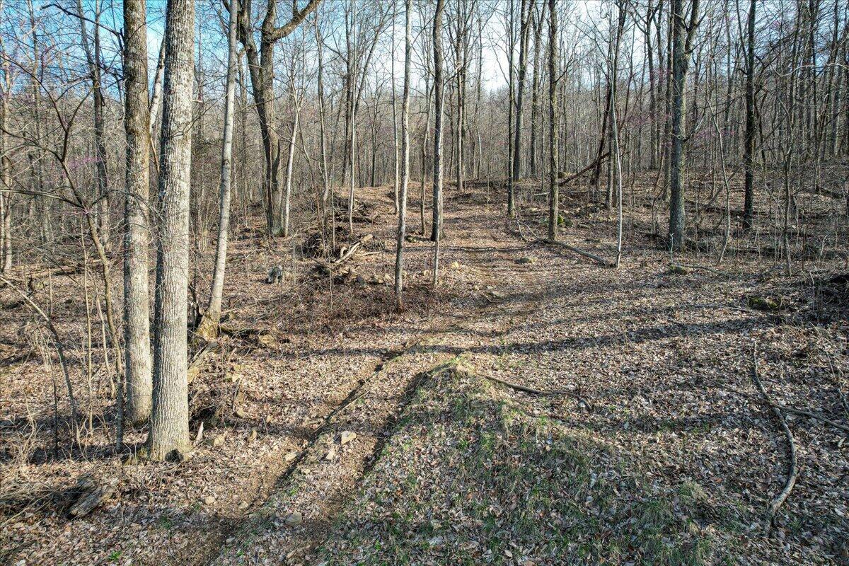8754 Us 127 Highway