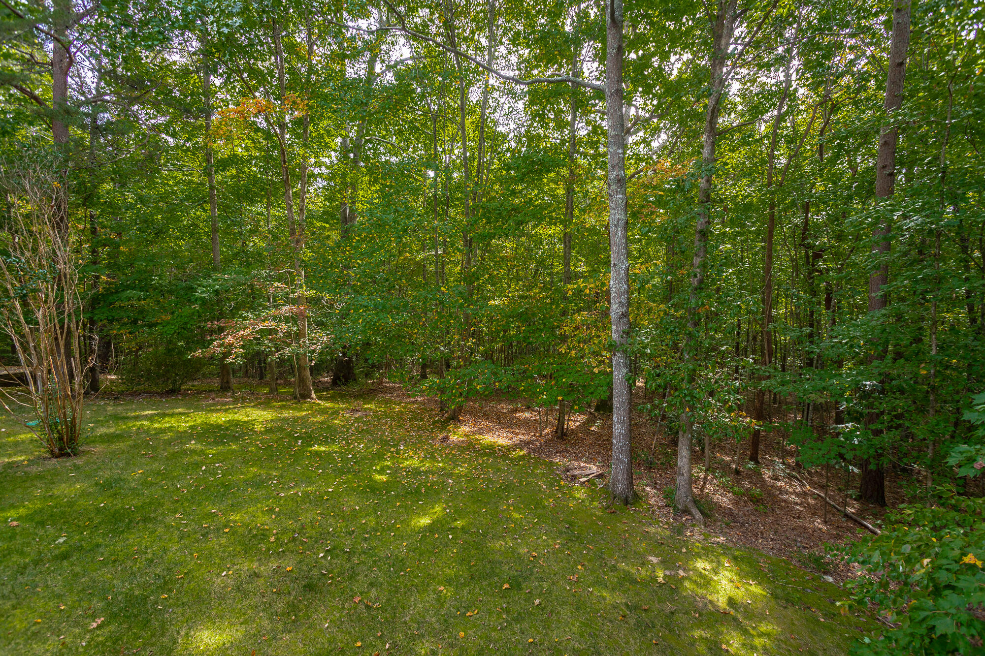 940 Clear Brooks Drive