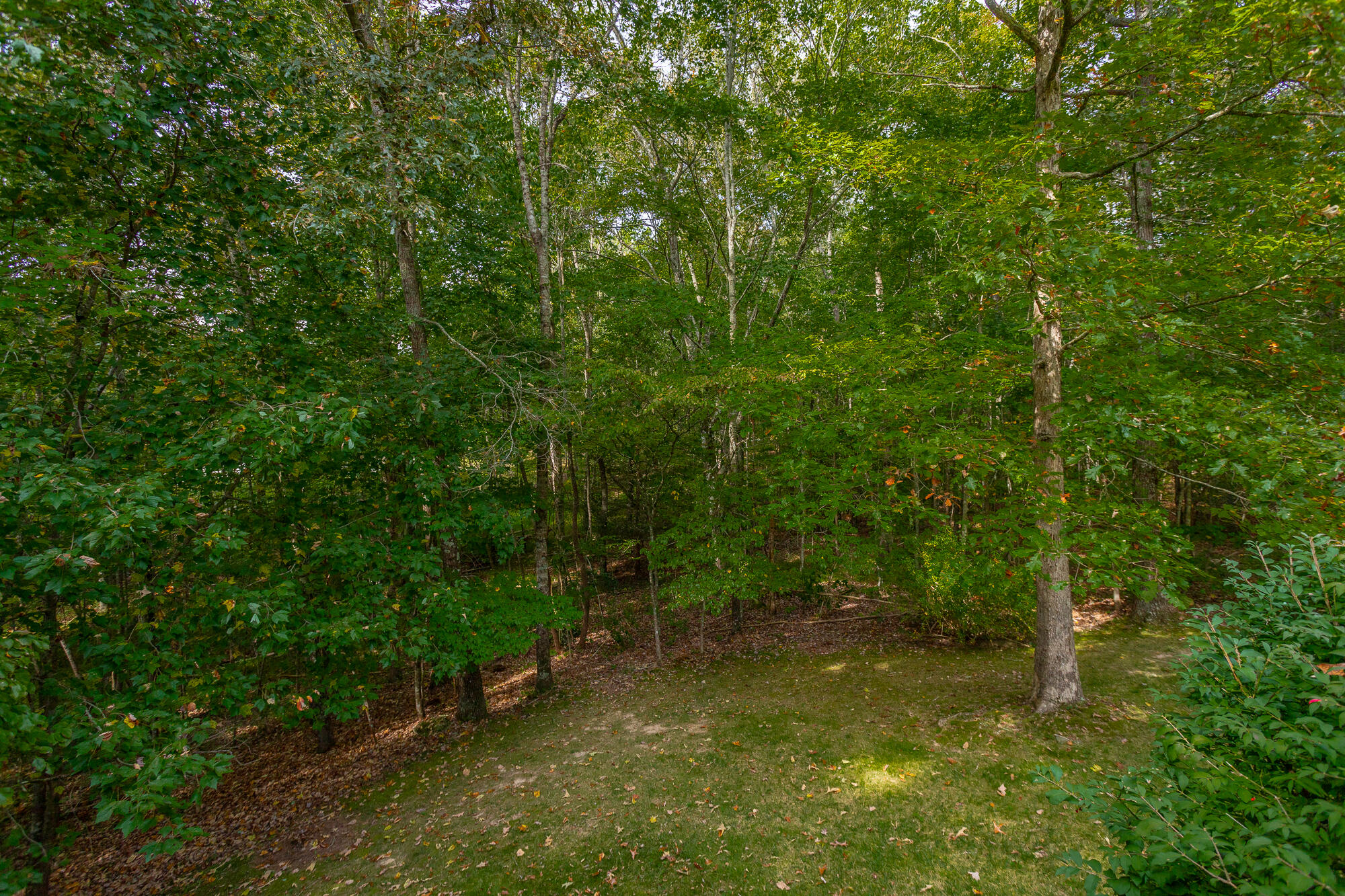 940 Clear Brooks Drive