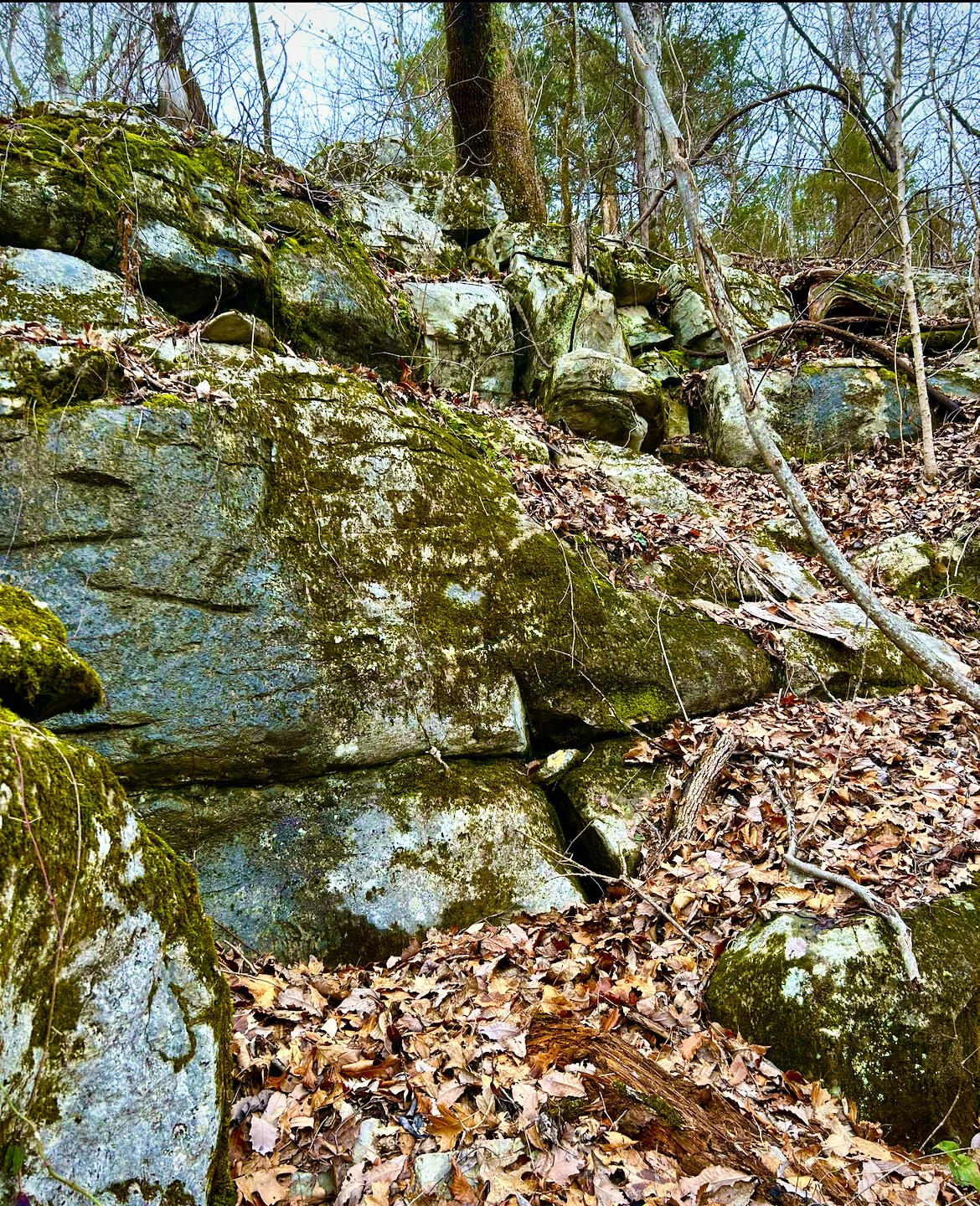 0 N Cedar Lane