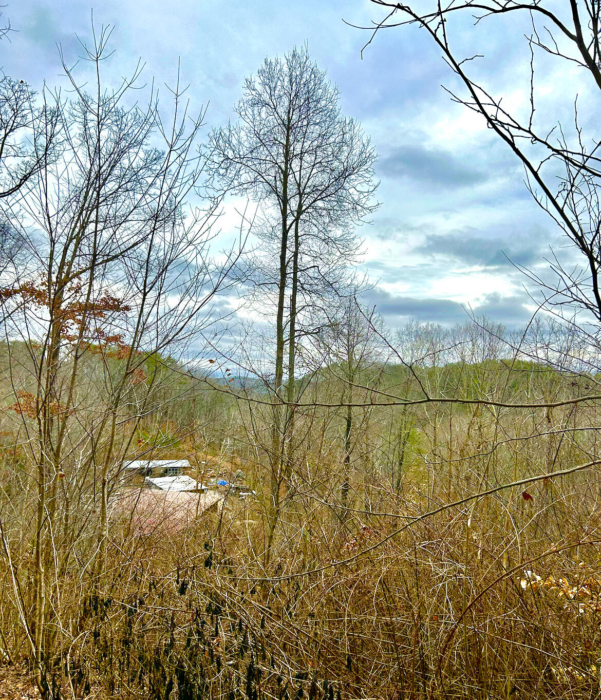 0 N Cedar Lane