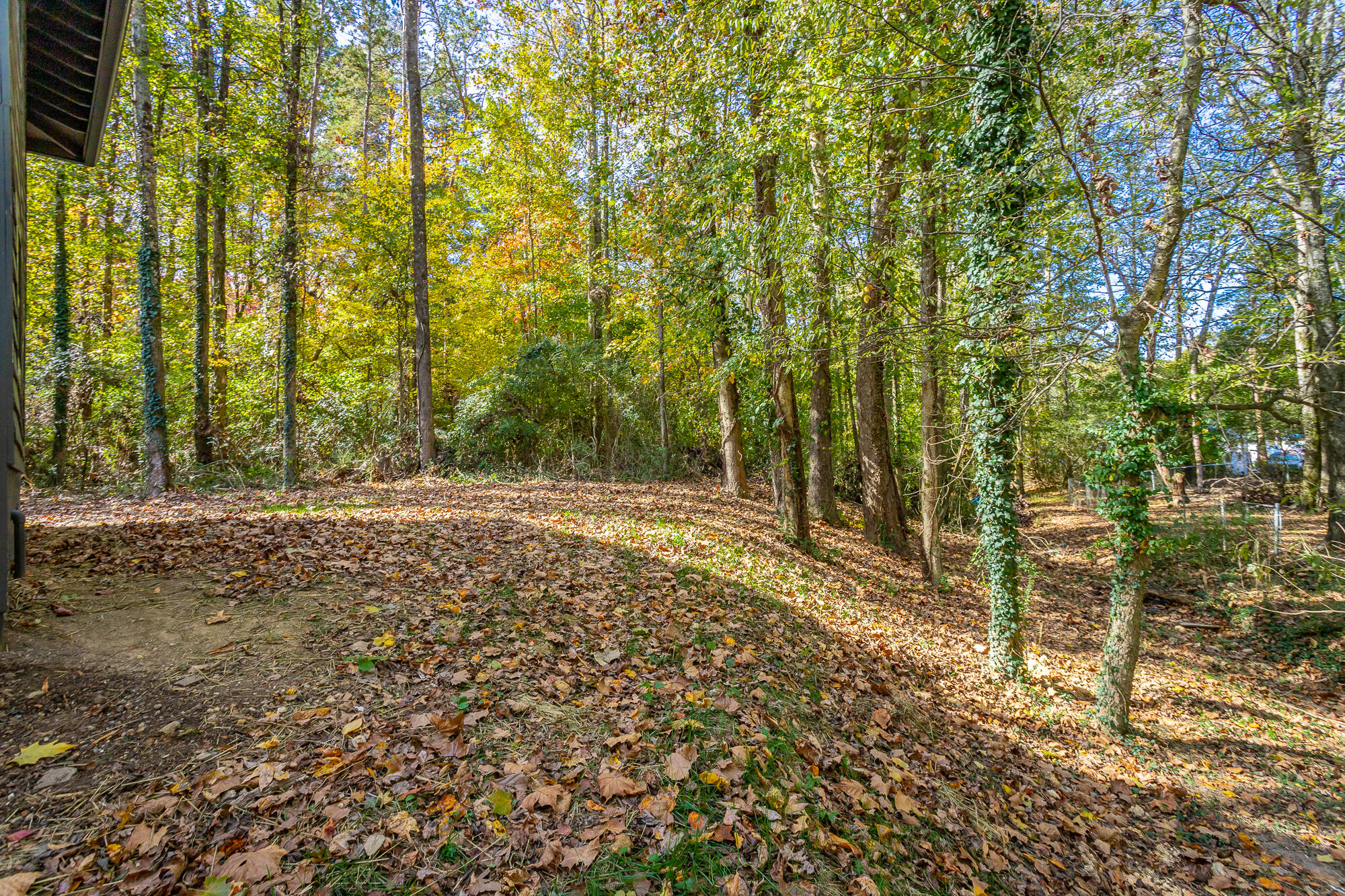 13777 S Tonja Lane