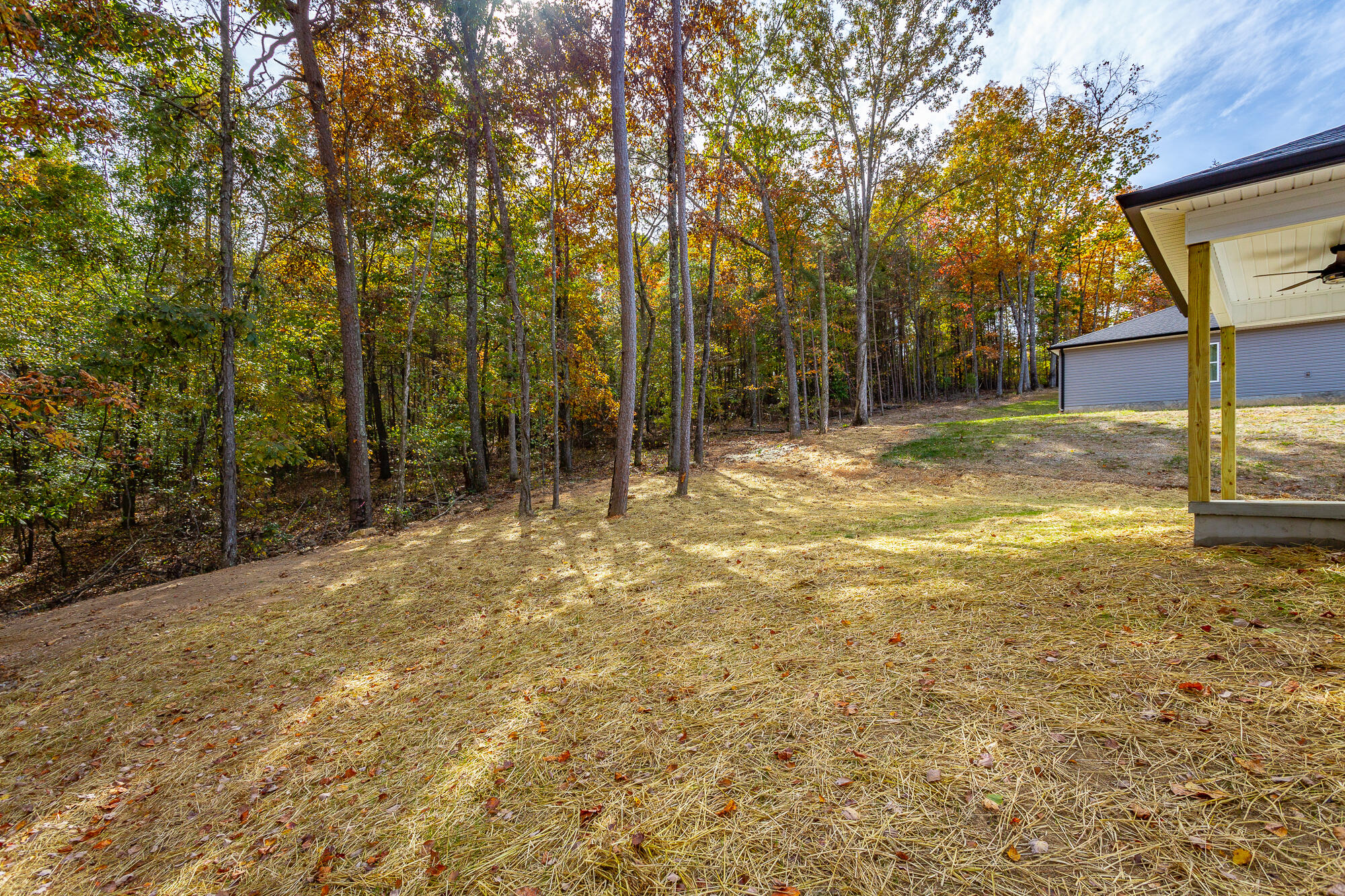 207 Darvin Lane, LaFayette