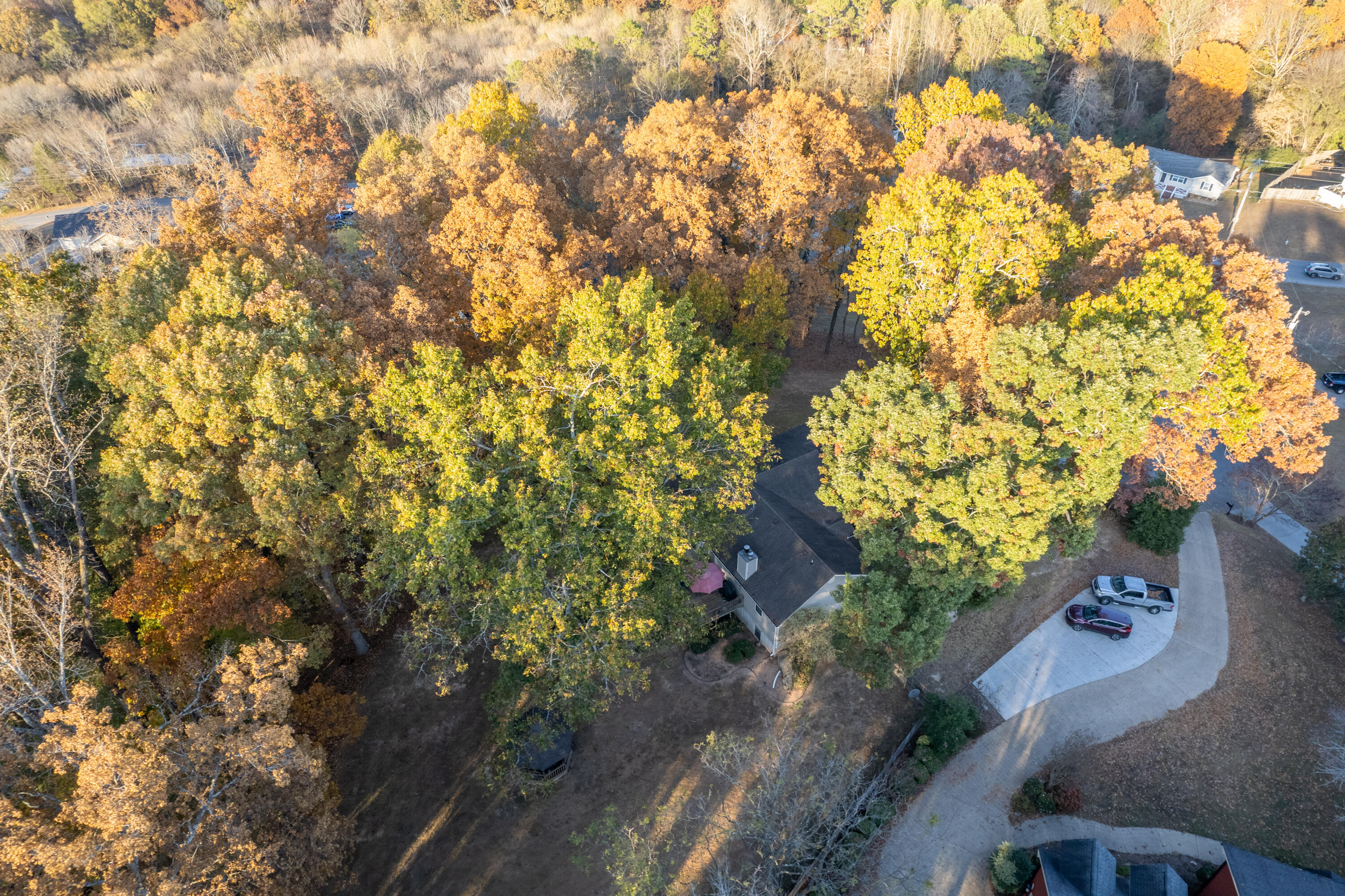 40 E Carolyn Circle