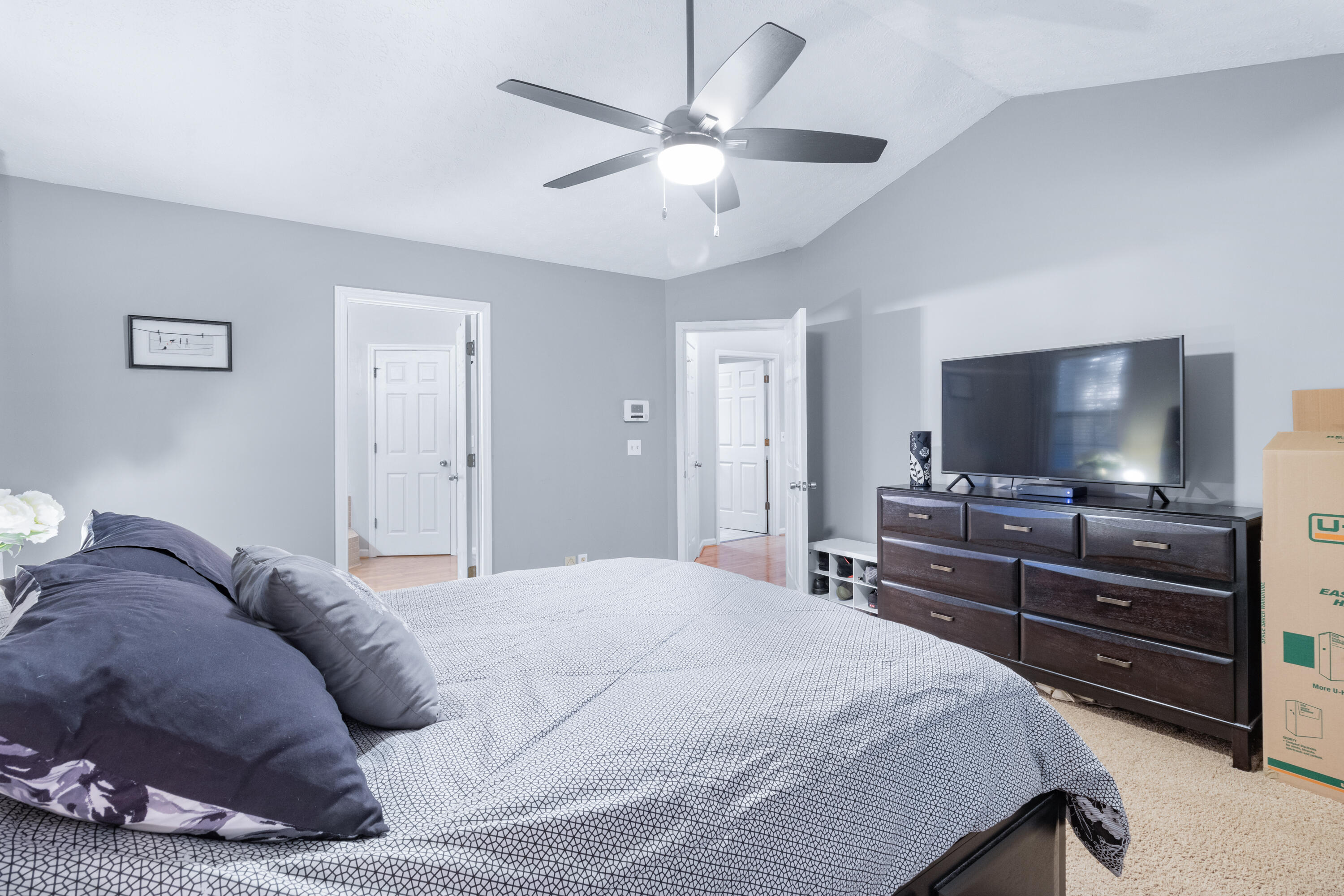 40 E Carolyn Circle