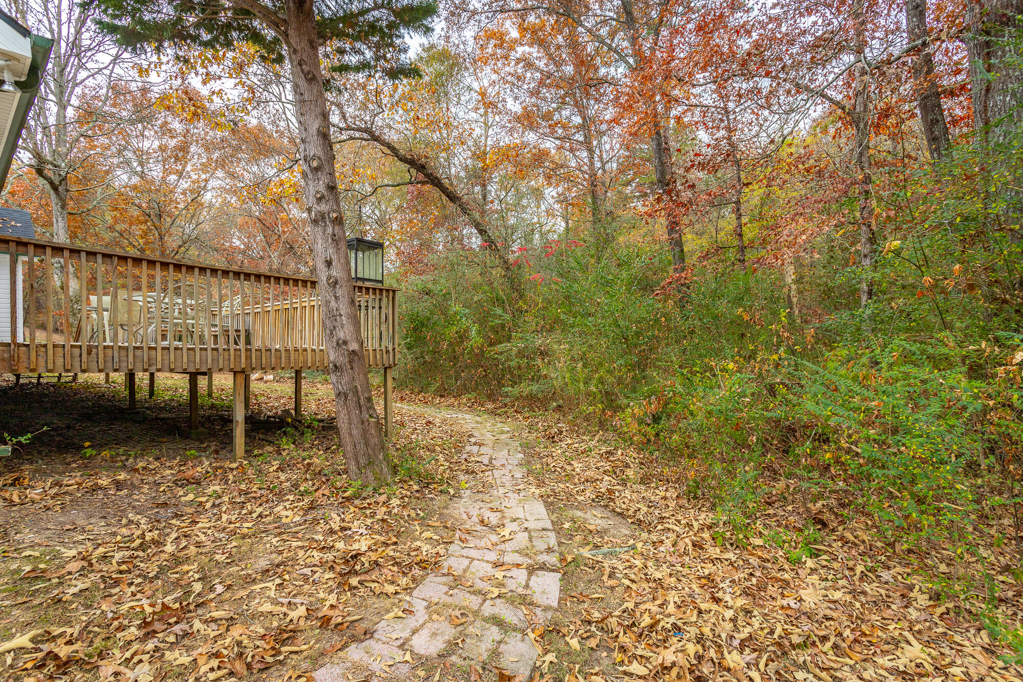 2422 W Wind Drive