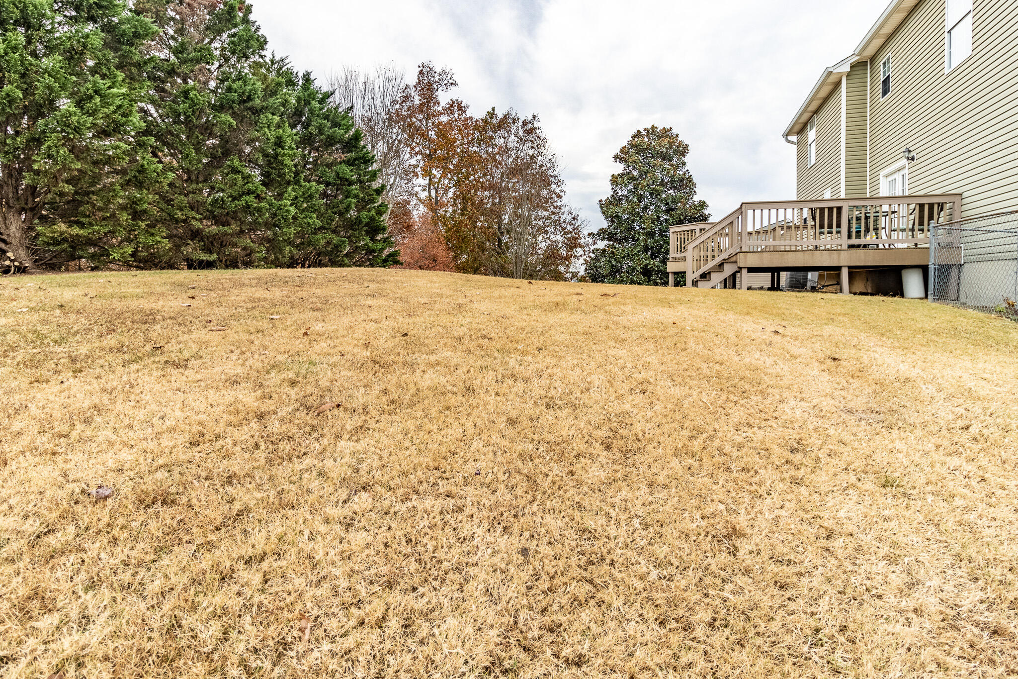 7088 Buttercup Lane