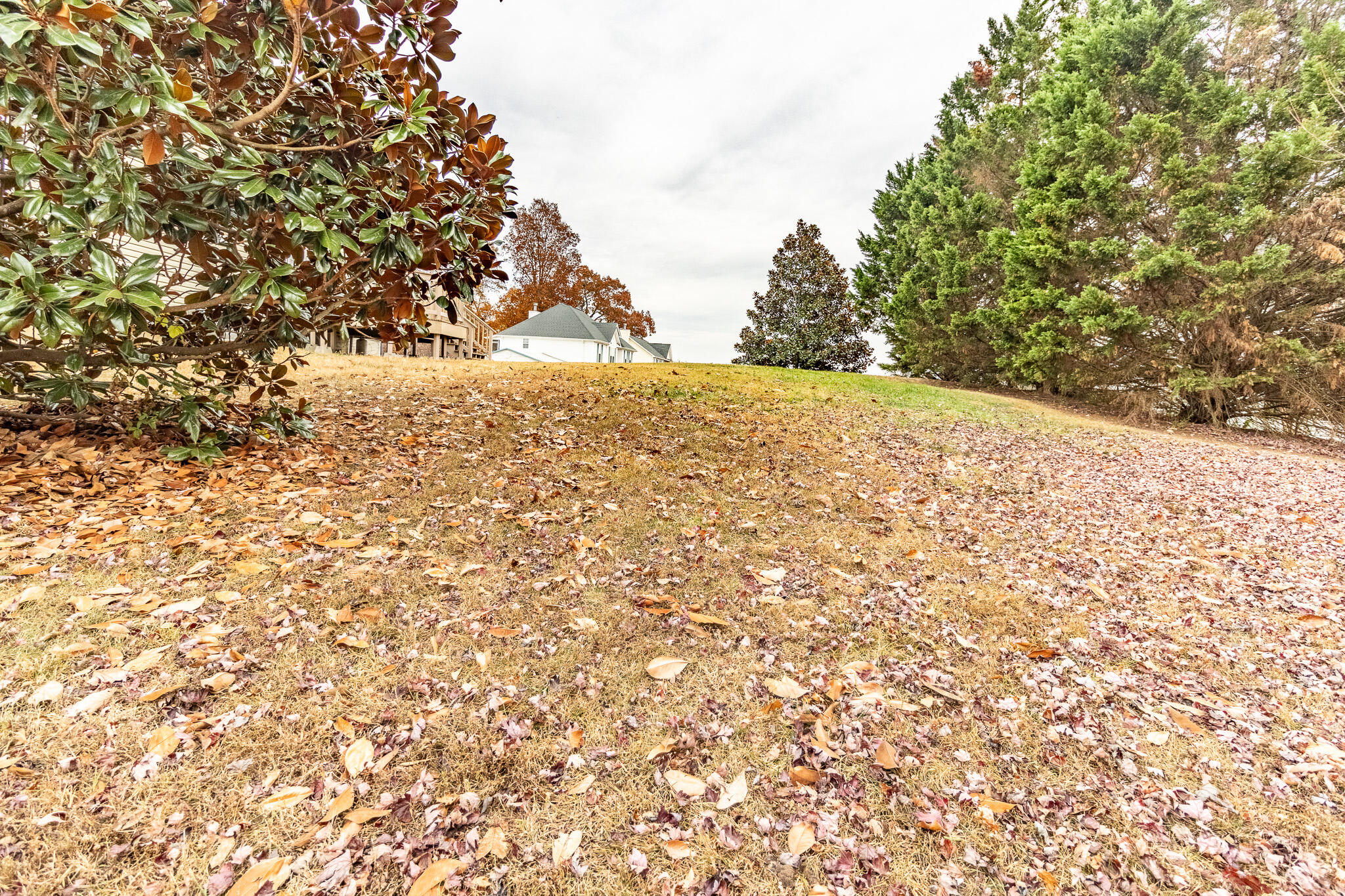 7088 Buttercup Lane