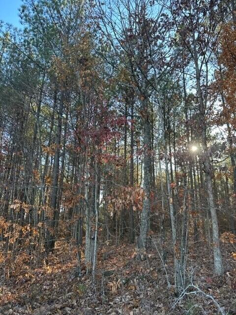 Tract 6 Fredonia Road, 6