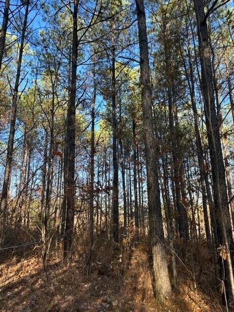 Tract 6 Fredonia Road, 6