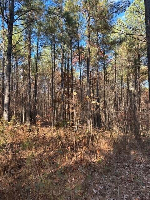 Tract 6 Fredonia Road, 6