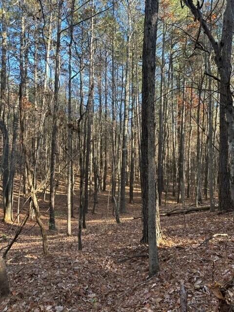 Tract 6 Fredonia Road, 6
