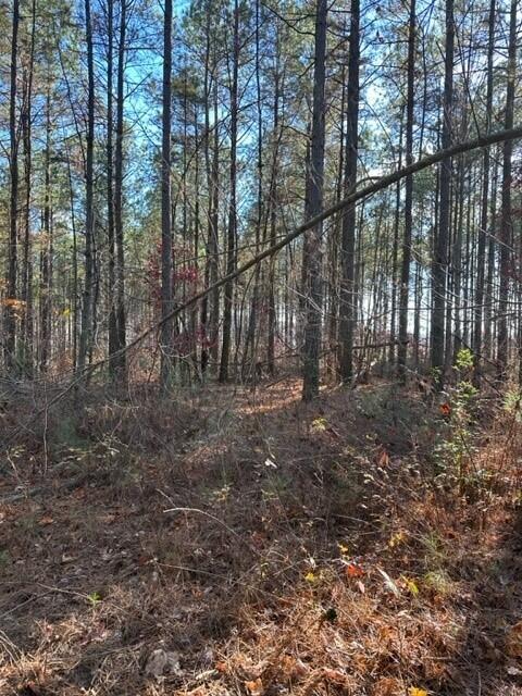 Tract 7 Fredonia Road