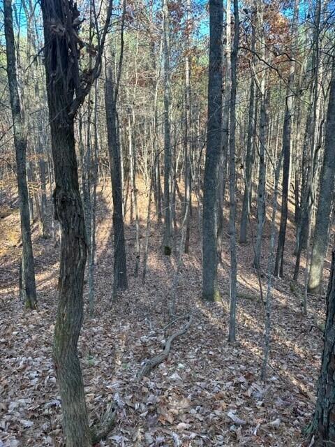 Tract 7 Fredonia Road