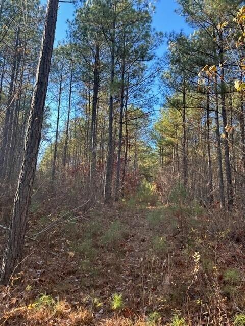 Tract 7 Fredonia Road