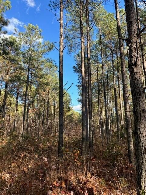 Tract 7 Fredonia Road