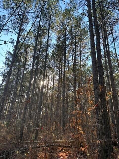 Tract 7 Fredonia Road