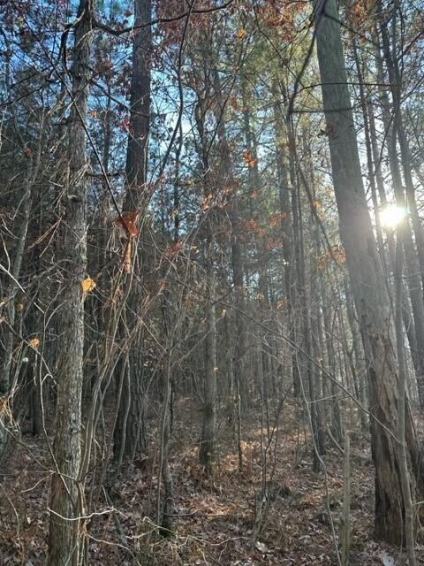 Tract 15 Fredonia Road, 15