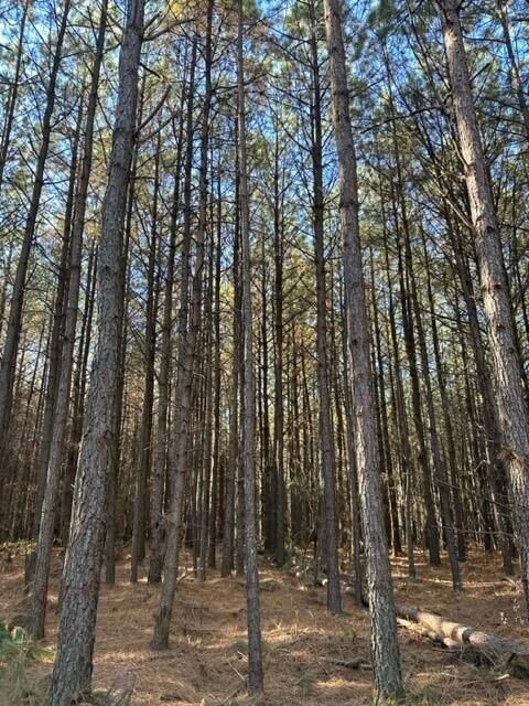 Tract 15 Fredonia Road, 15