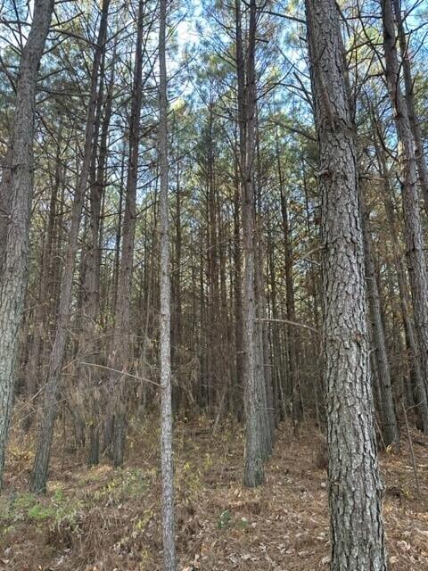 Tract 15 Fredonia Road, 15