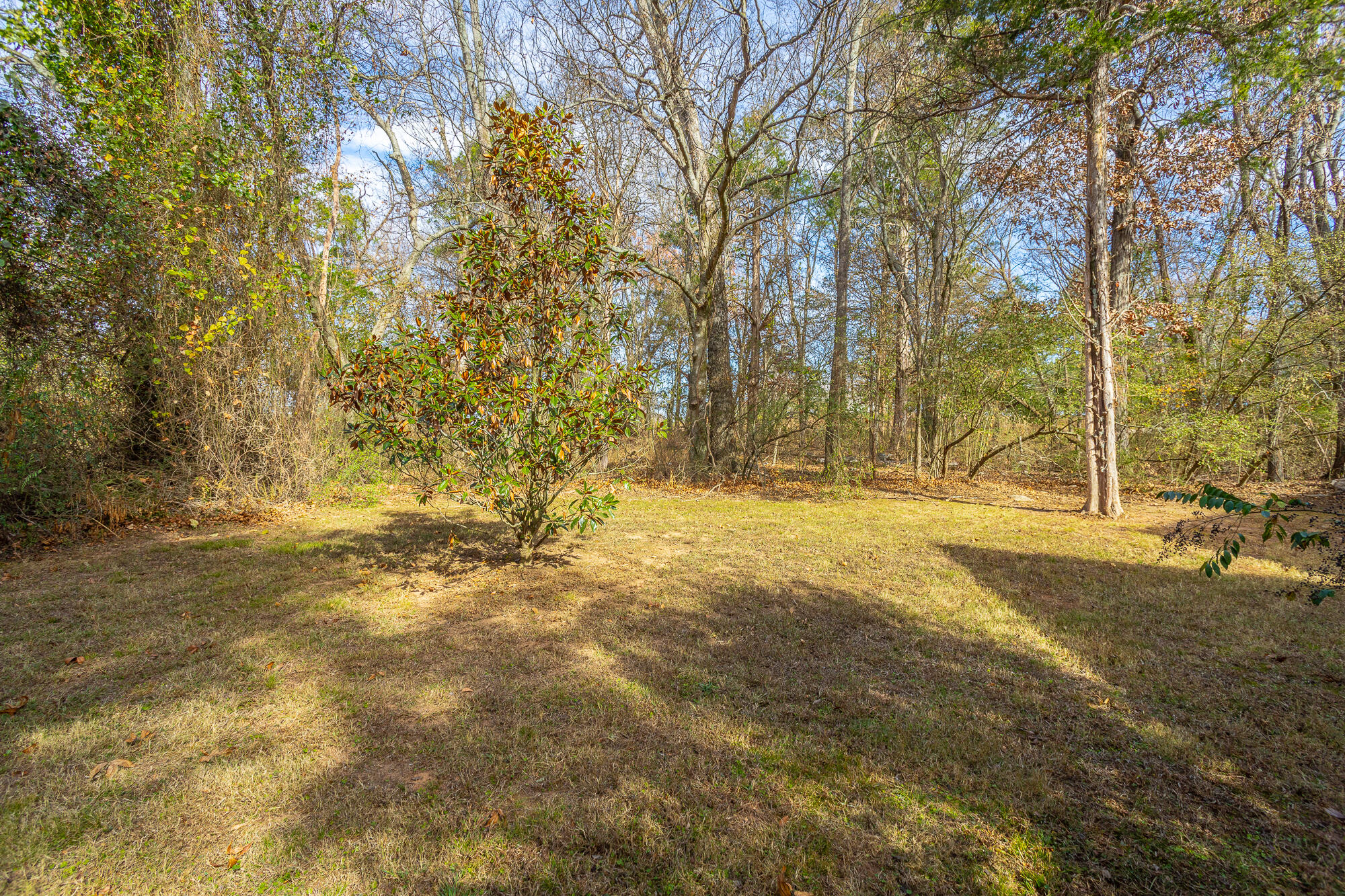 8252 Rambling Rose Drive