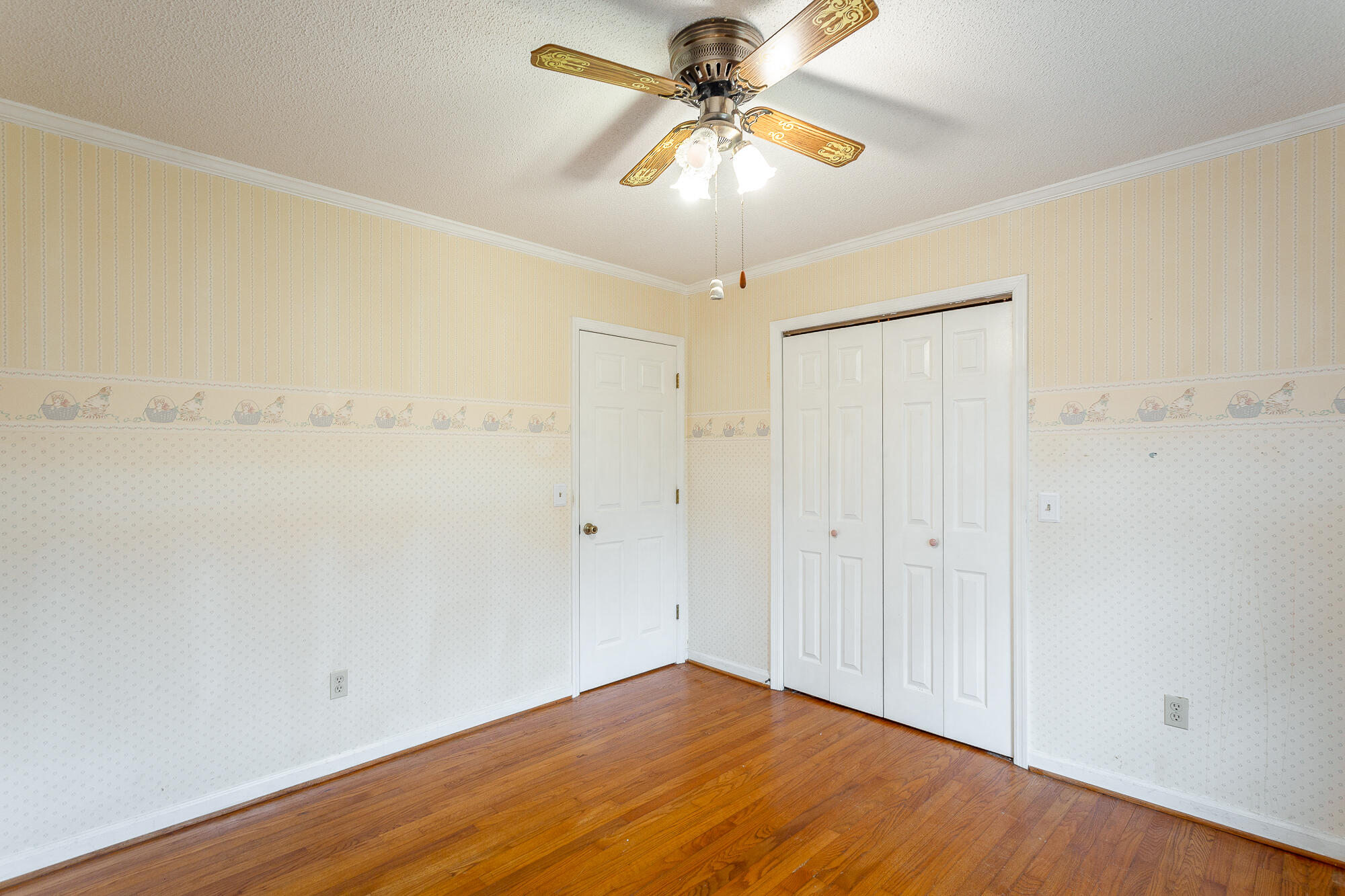 126 Mundy Drive