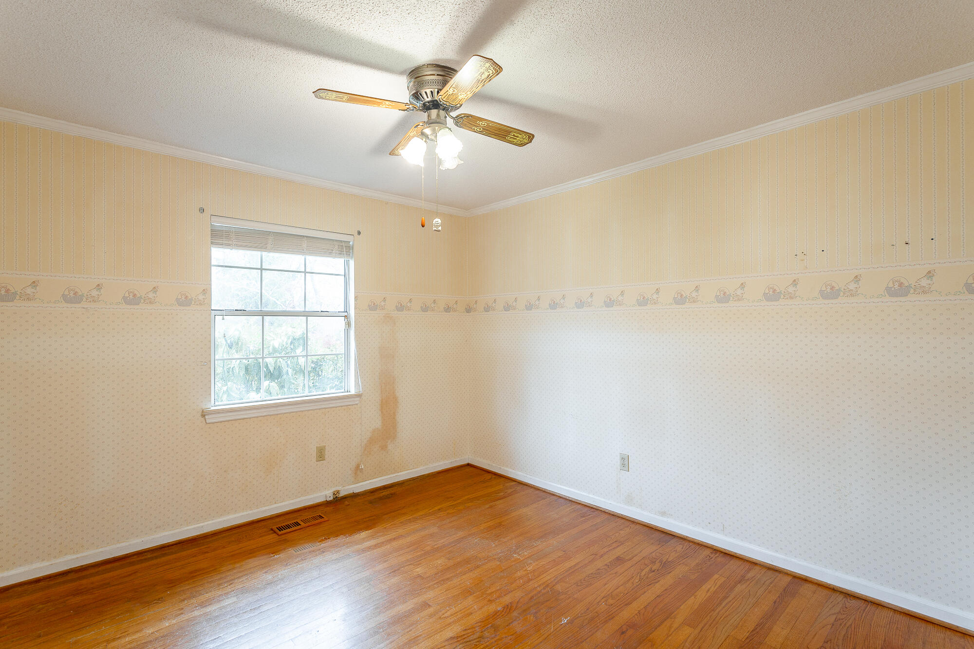 126 Mundy Drive