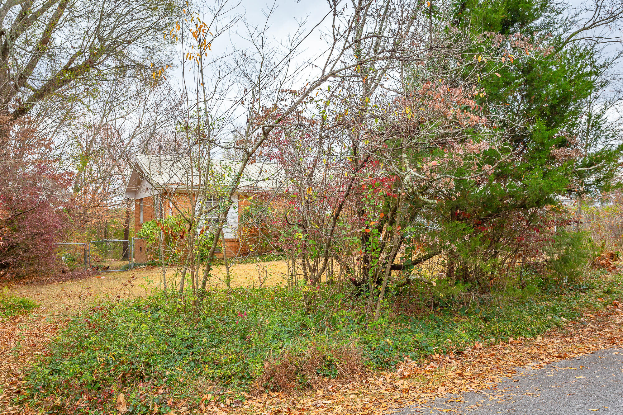 126 Mundy Drive
