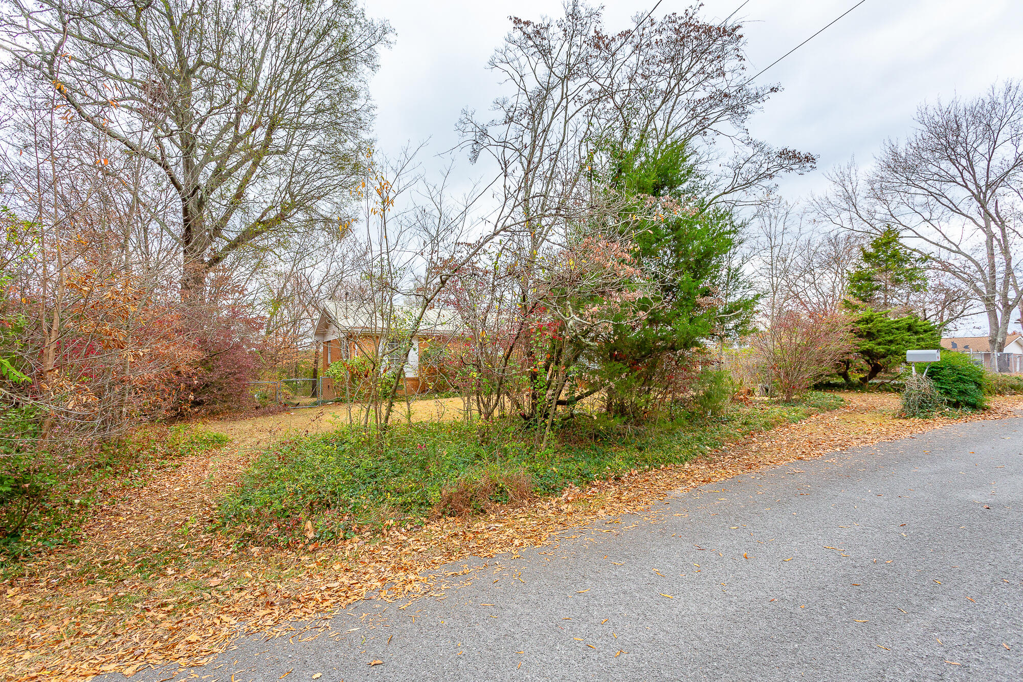 126 Mundy Drive