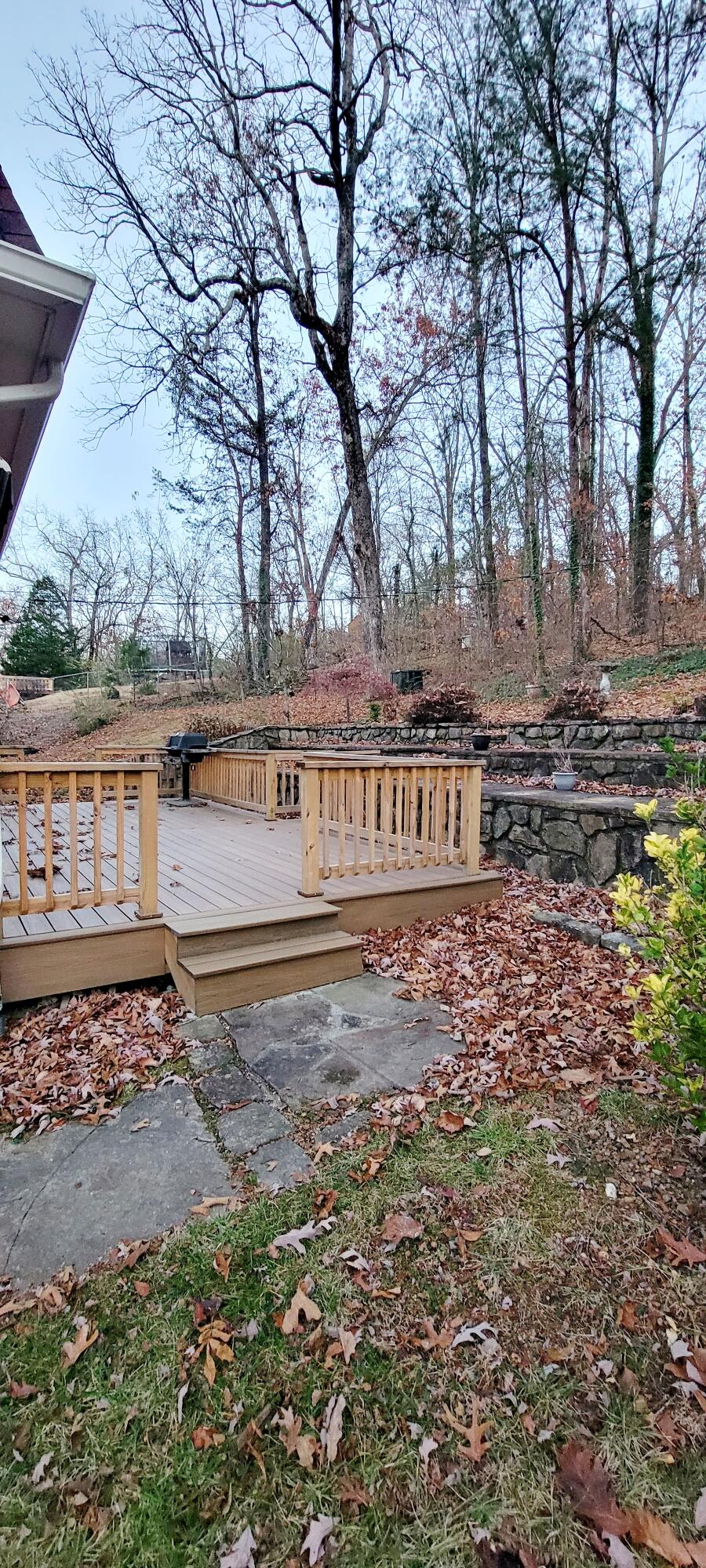 532 Forrester White Road