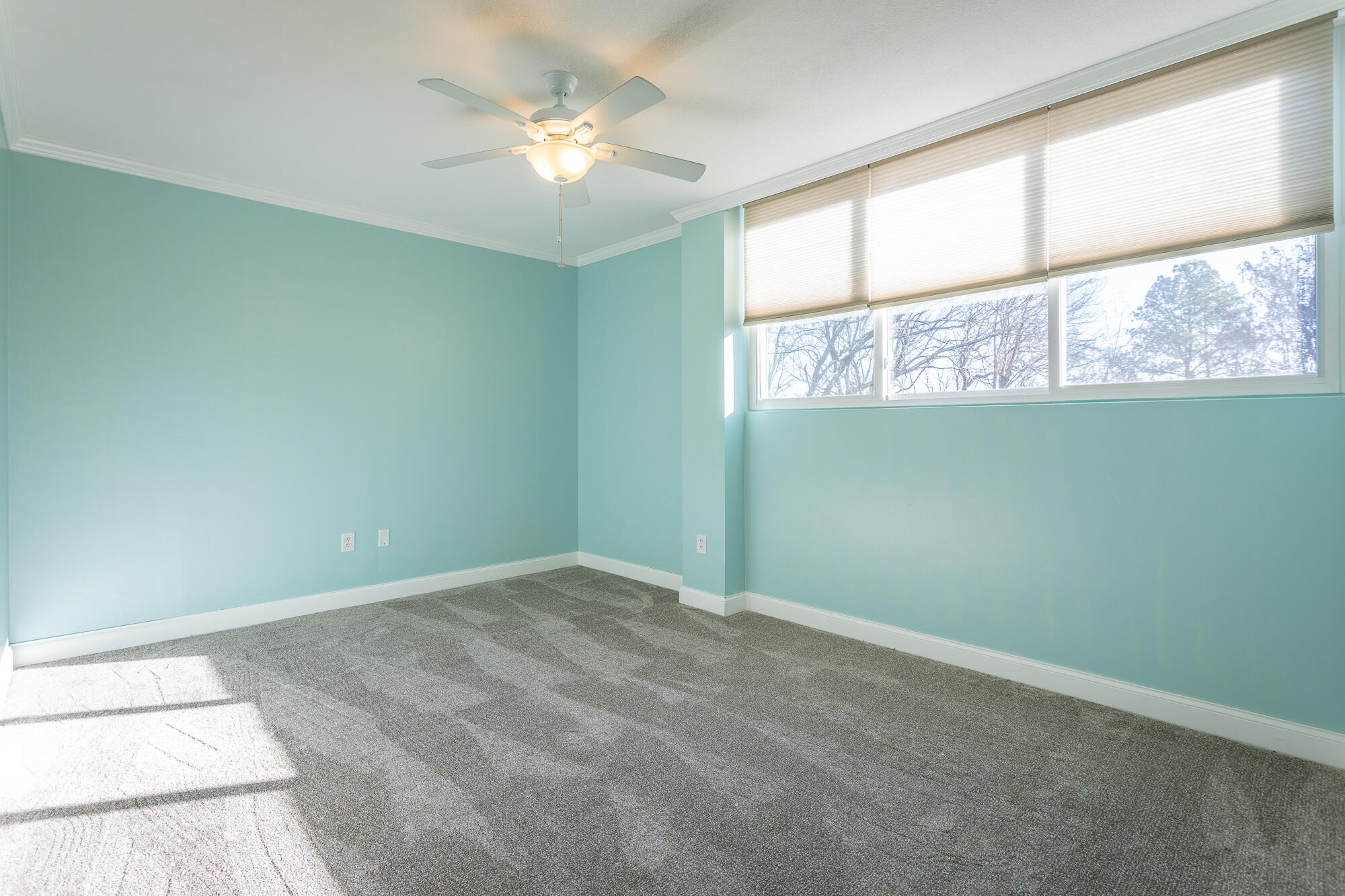 1414 Continental Drive, Apt 102