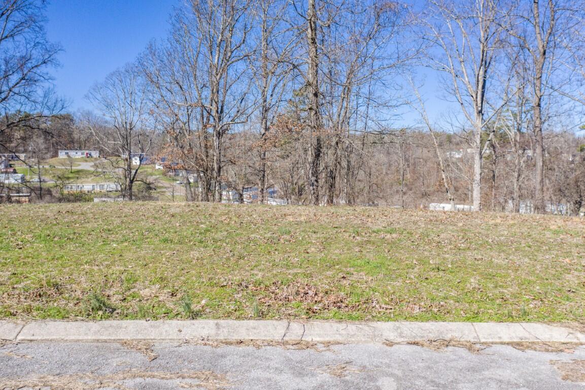 Lot 85 Battle Bluff Drive