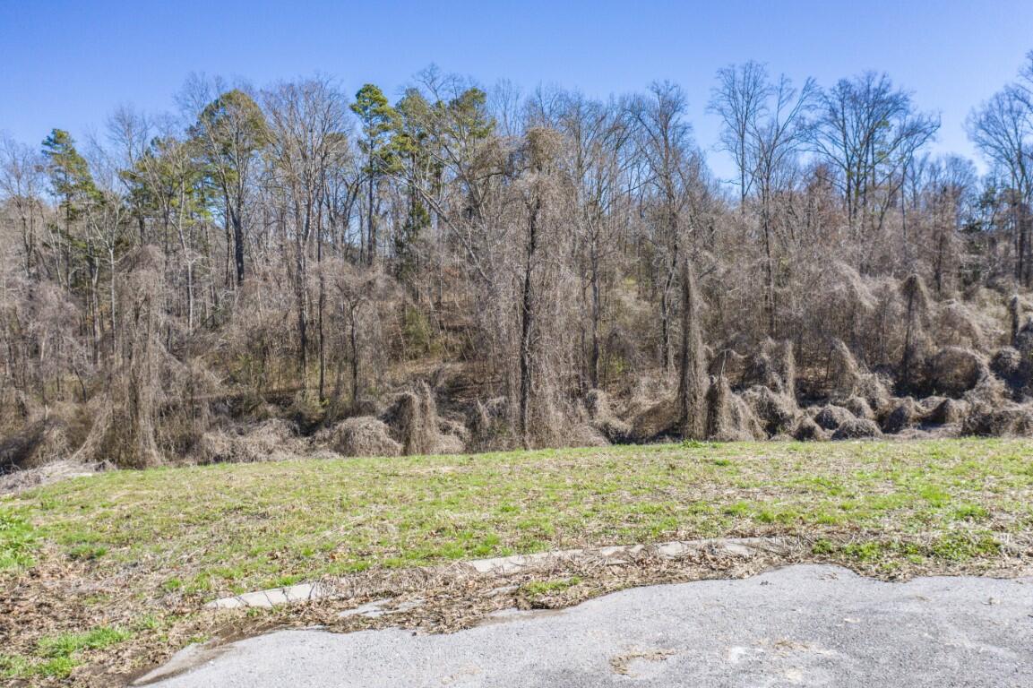 Lot 85 Battle Bluff Drive
