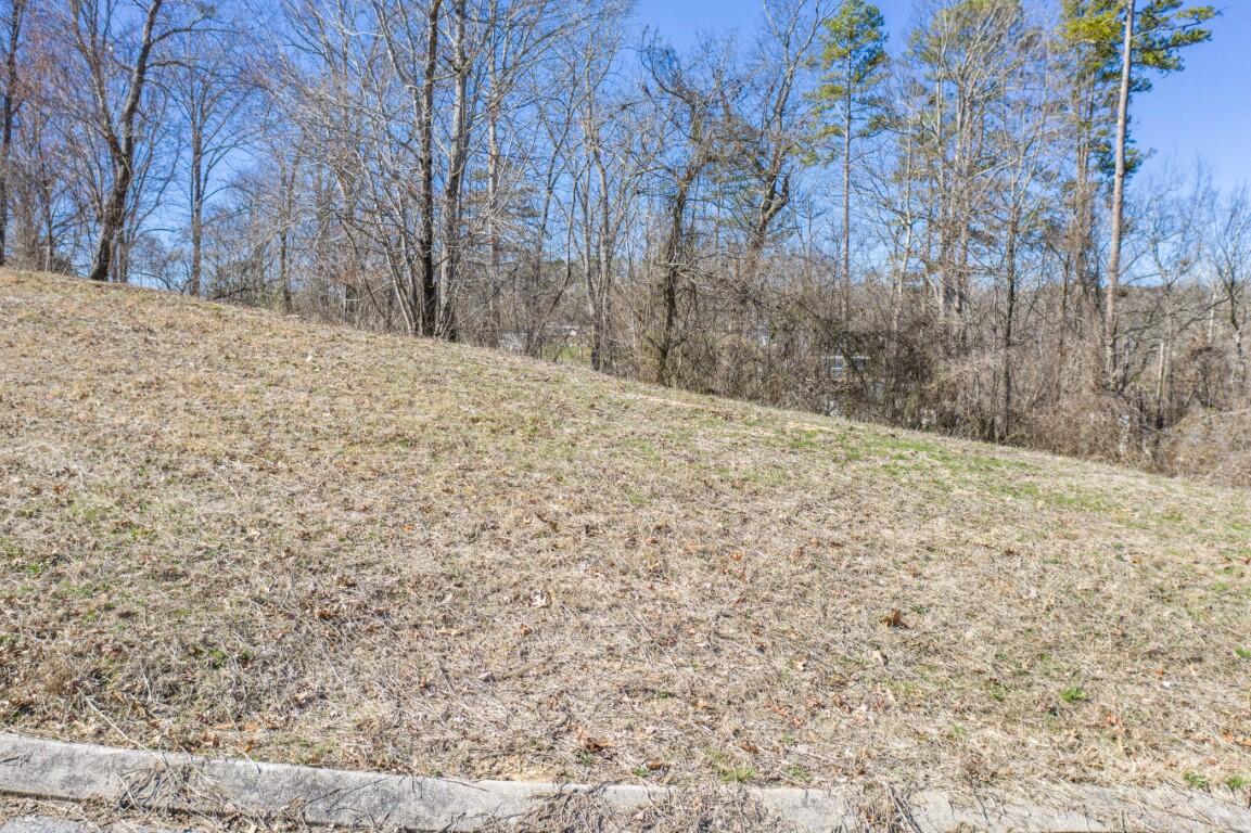 Lot 85 Battle Bluff Drive