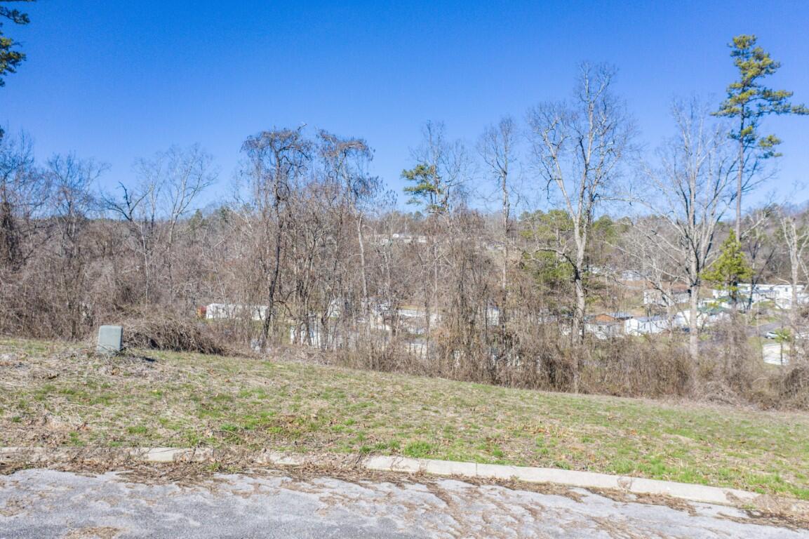 Lot 85 Battle Bluff Drive
