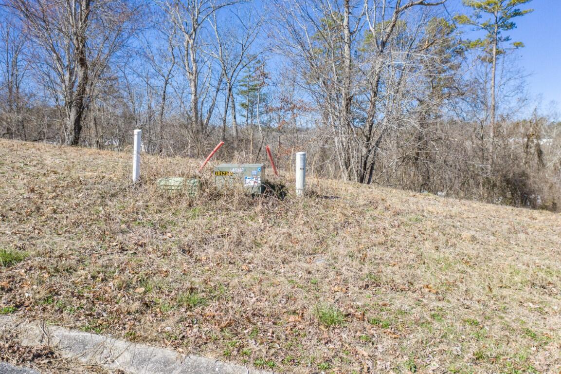Lot 85 Battle Bluff Drive