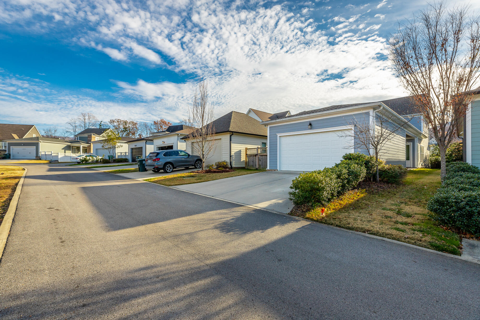 462 Alston Drive