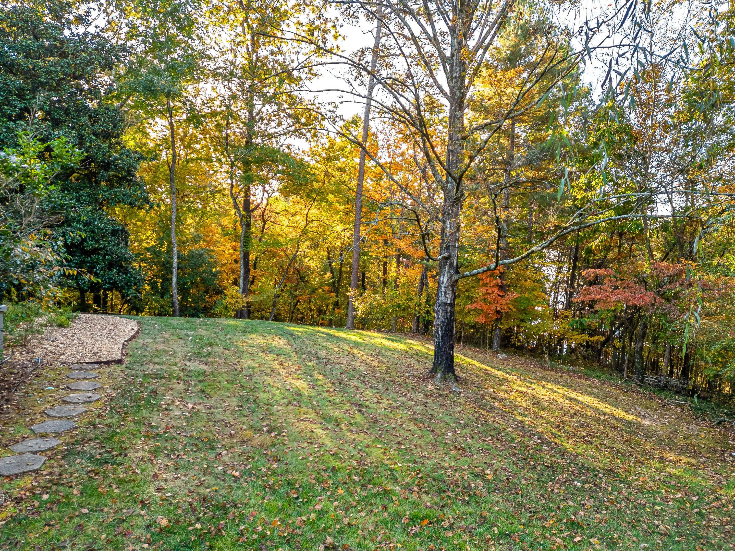 4114 Hamill Road